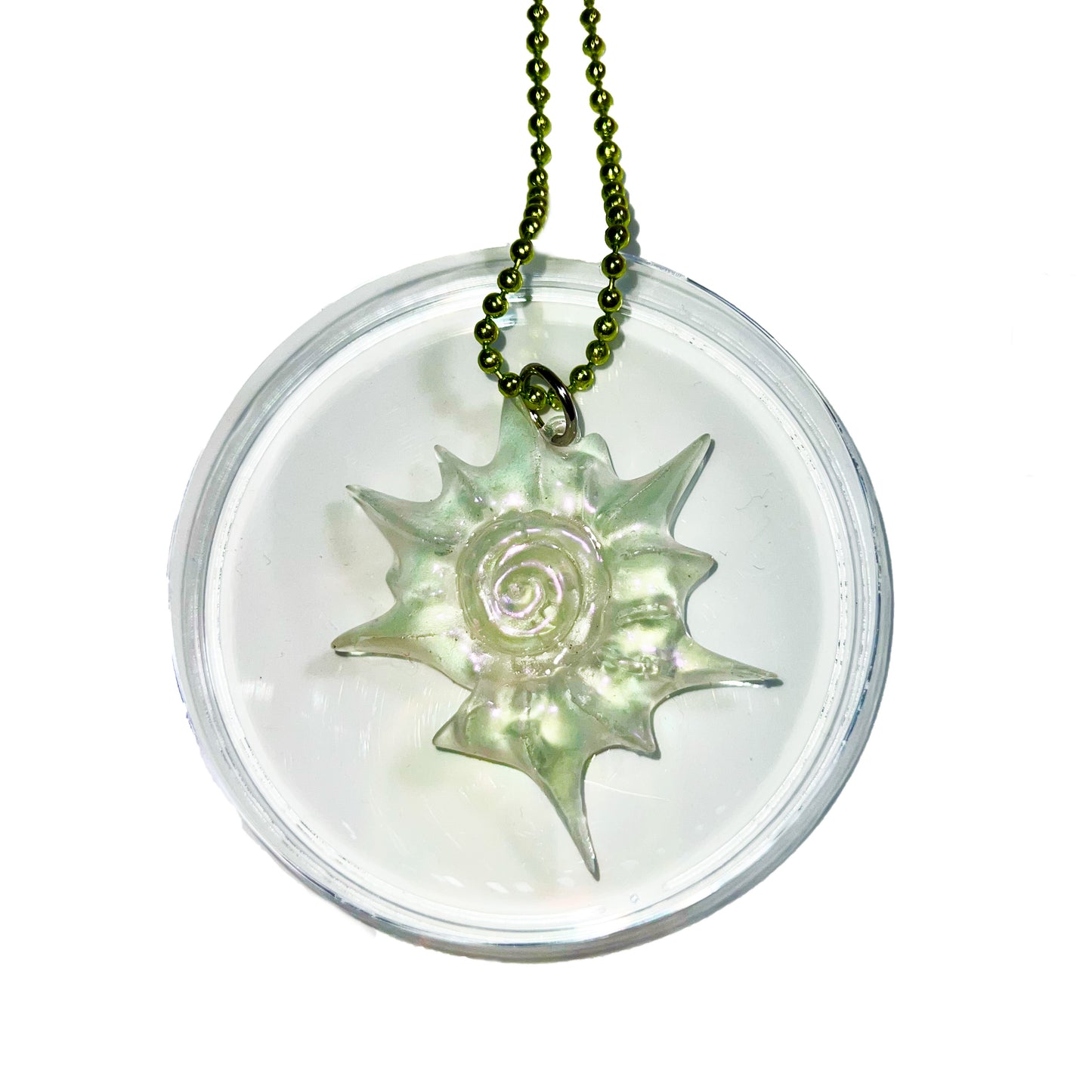 NAUTILUS SHELL NECKLACE